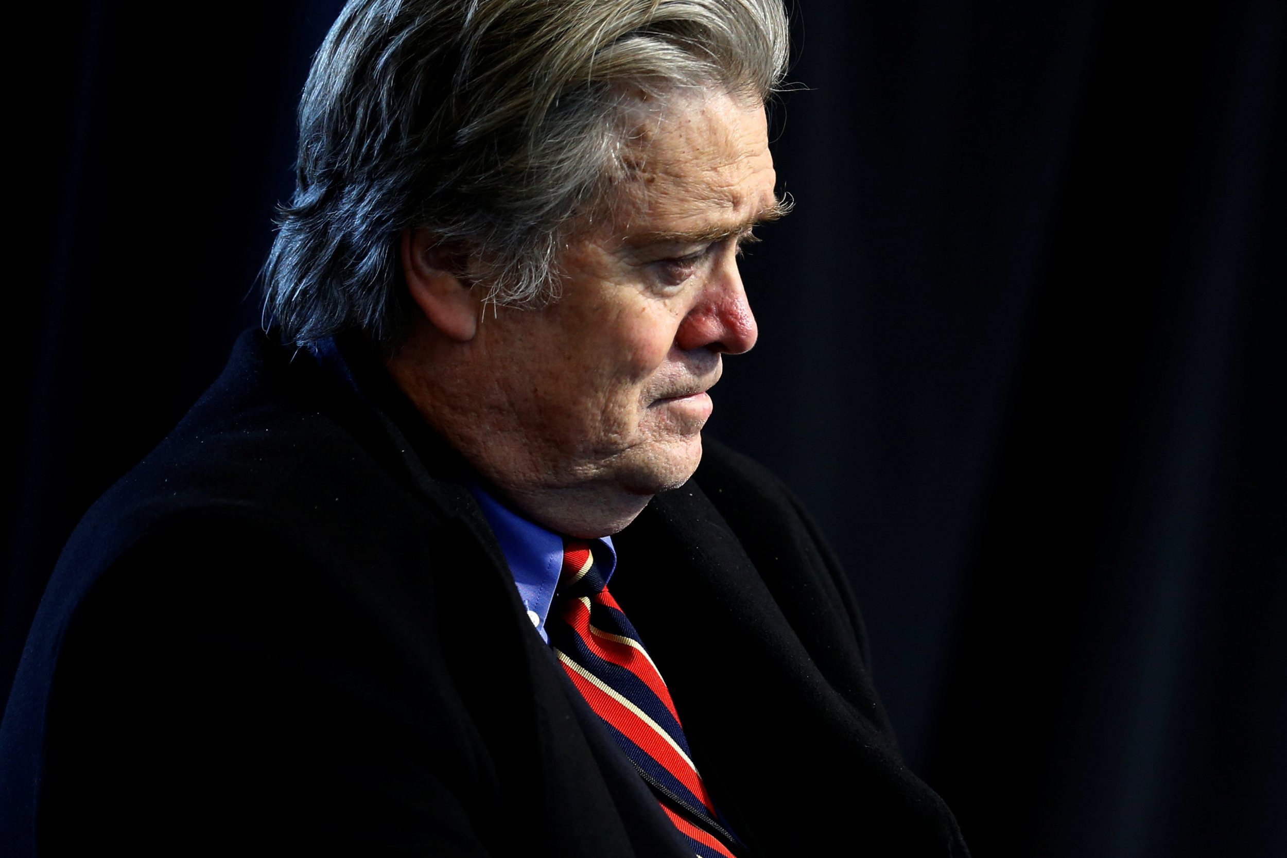 Steve Bannon