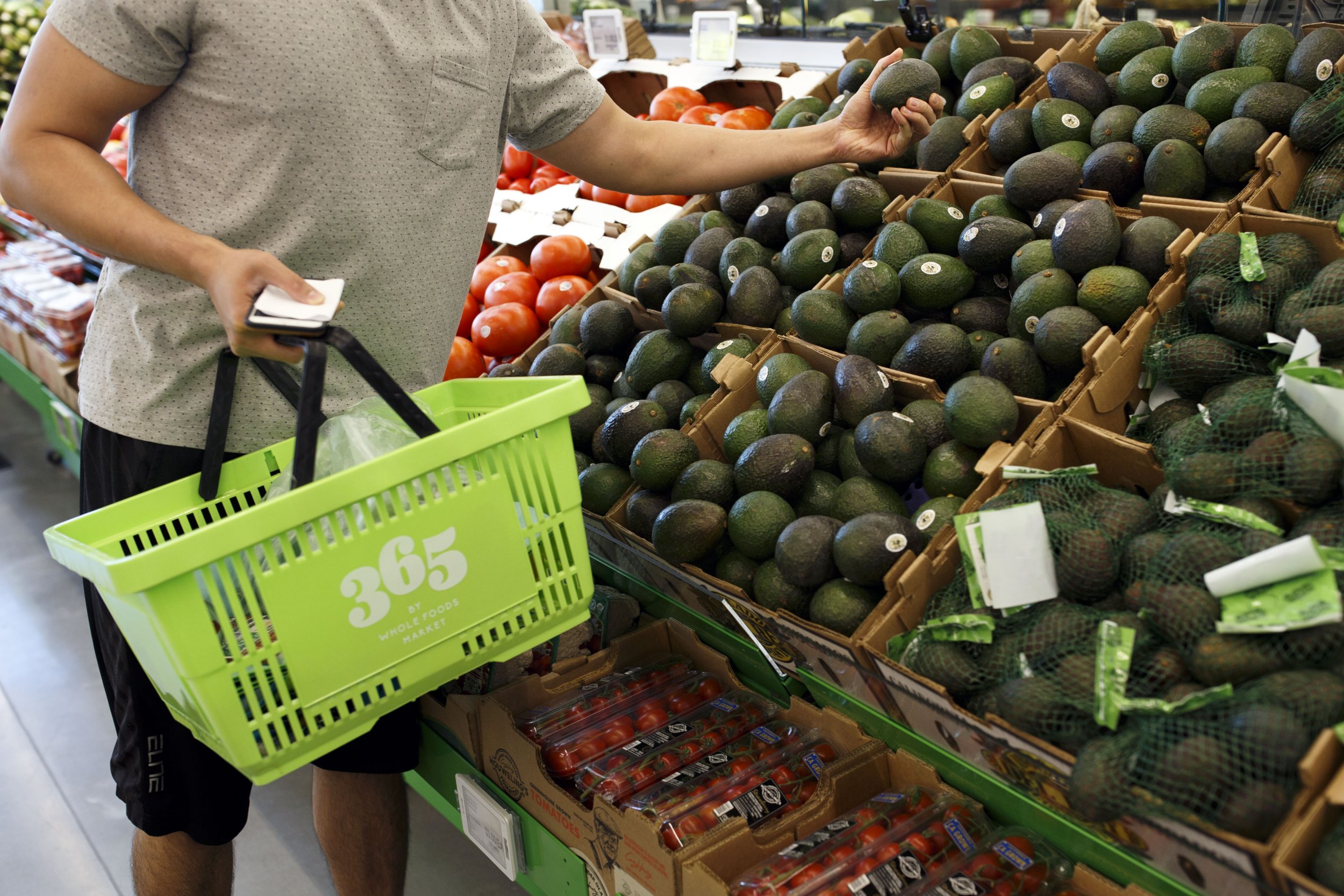 Avocados Prices How Long Will They Be High?