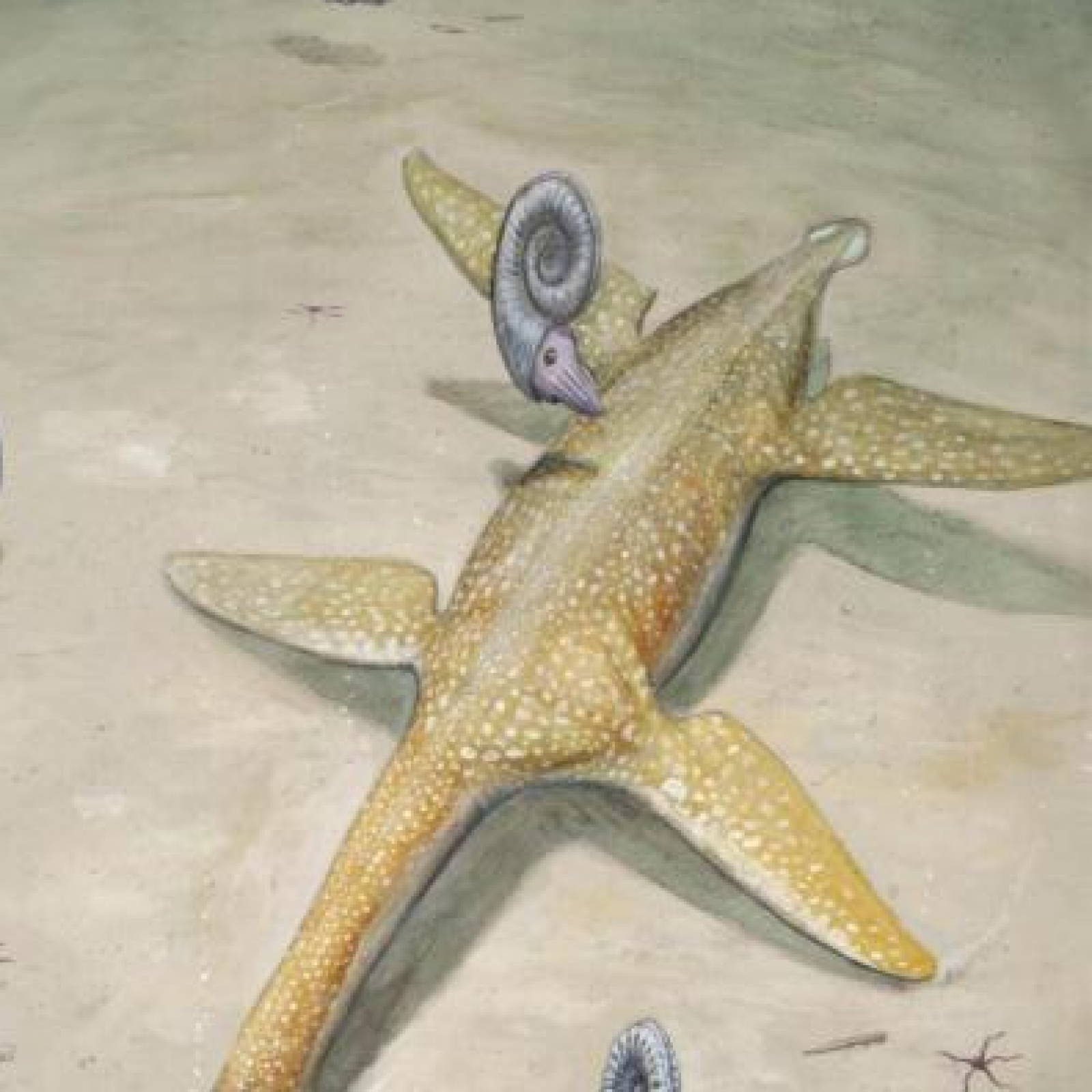 Arminisaurus Schuberti: Ancient Bizarre Sea Creature Found in Germany Among  'Most Complete' of its Kind