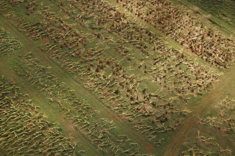 0926_Crops_Puerto_Rico