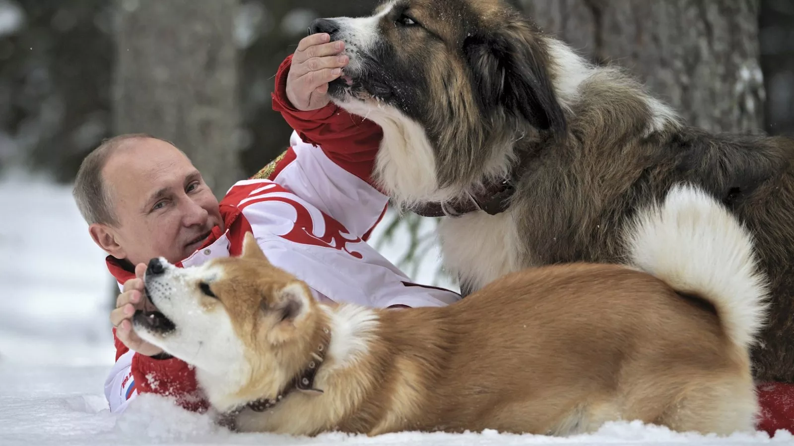 Russia's Dogs Told to Quiet Down, but Putin's Their Biggest Fan