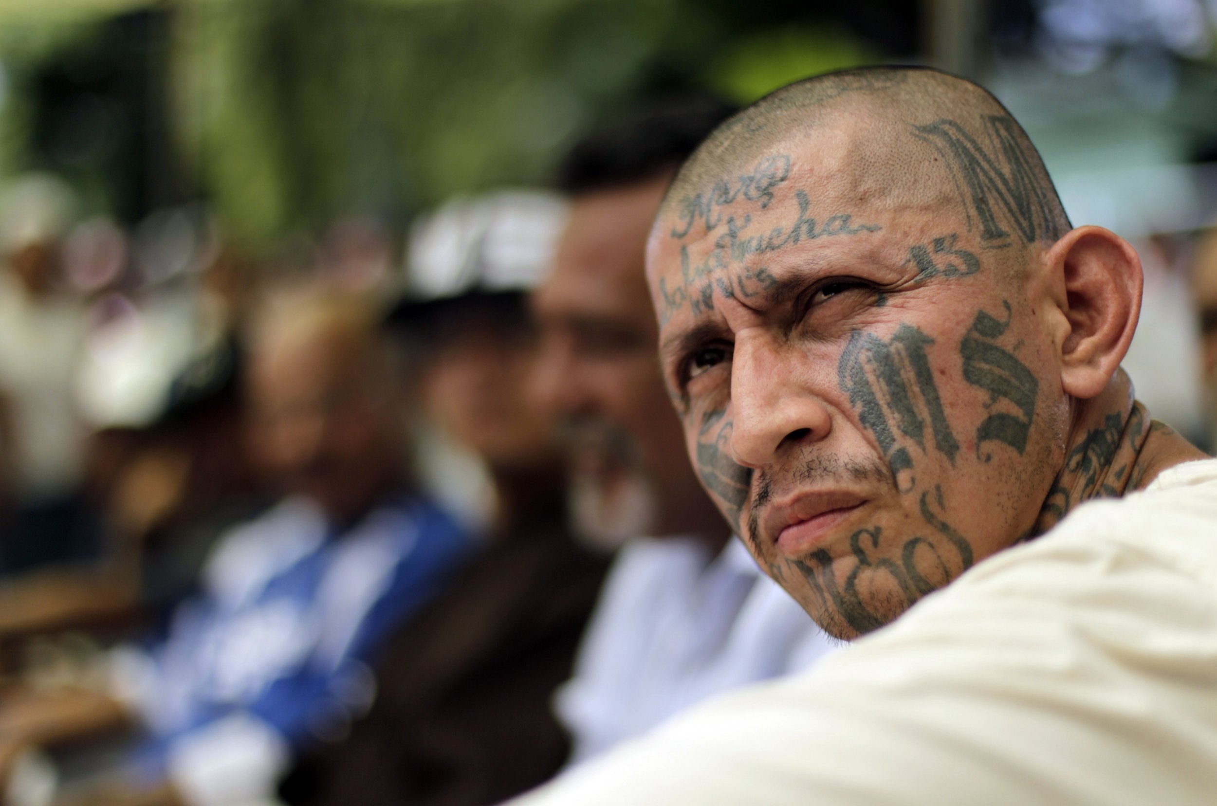 Top MS-13 Leader Warns Gang Not to Wear Nike Cortez Shoes As Feds Arrest  3,800 Members