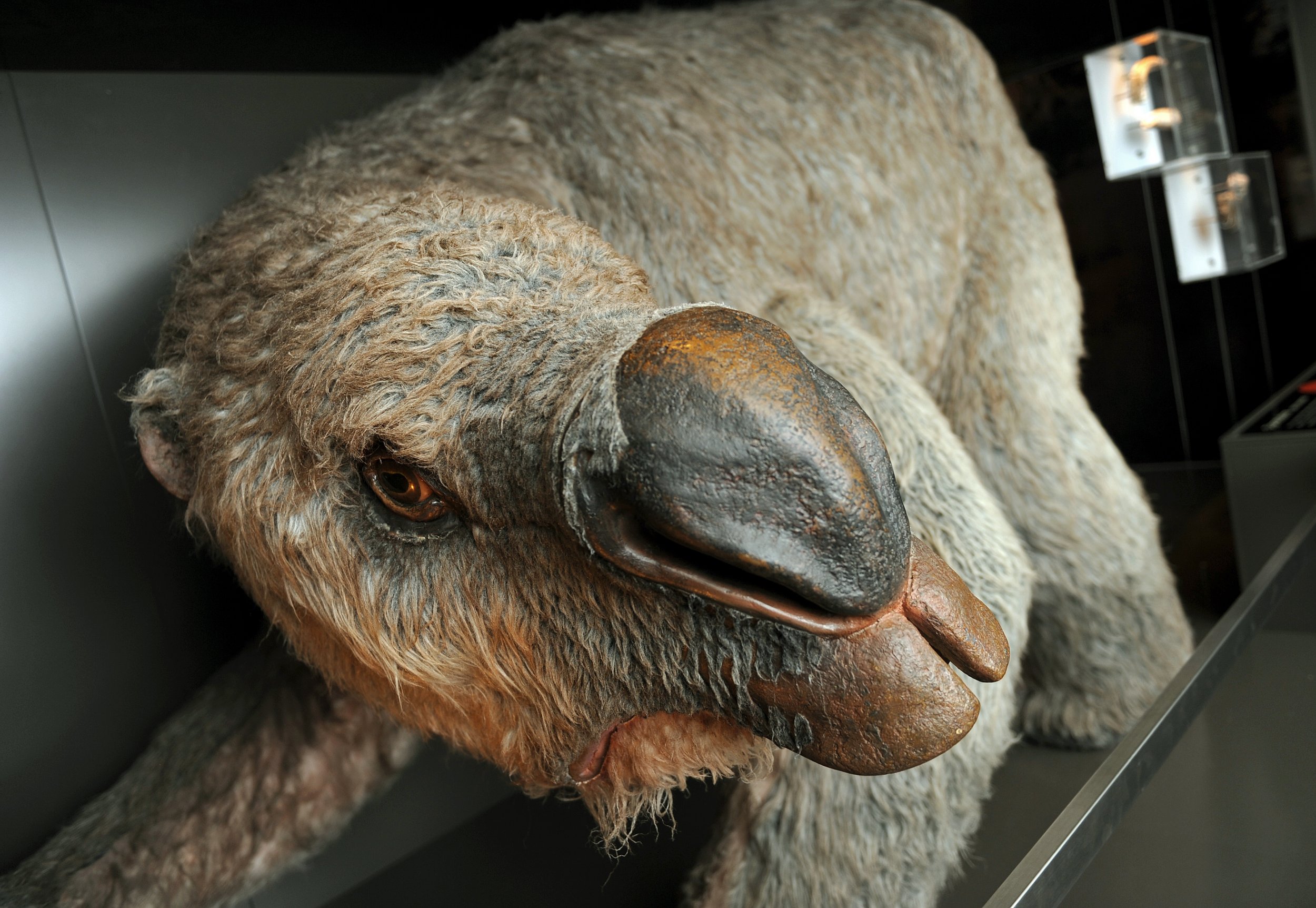 Pleistocene Monster Wombat Diprotodon Weighed 6,000 Pounds and Migrated ...