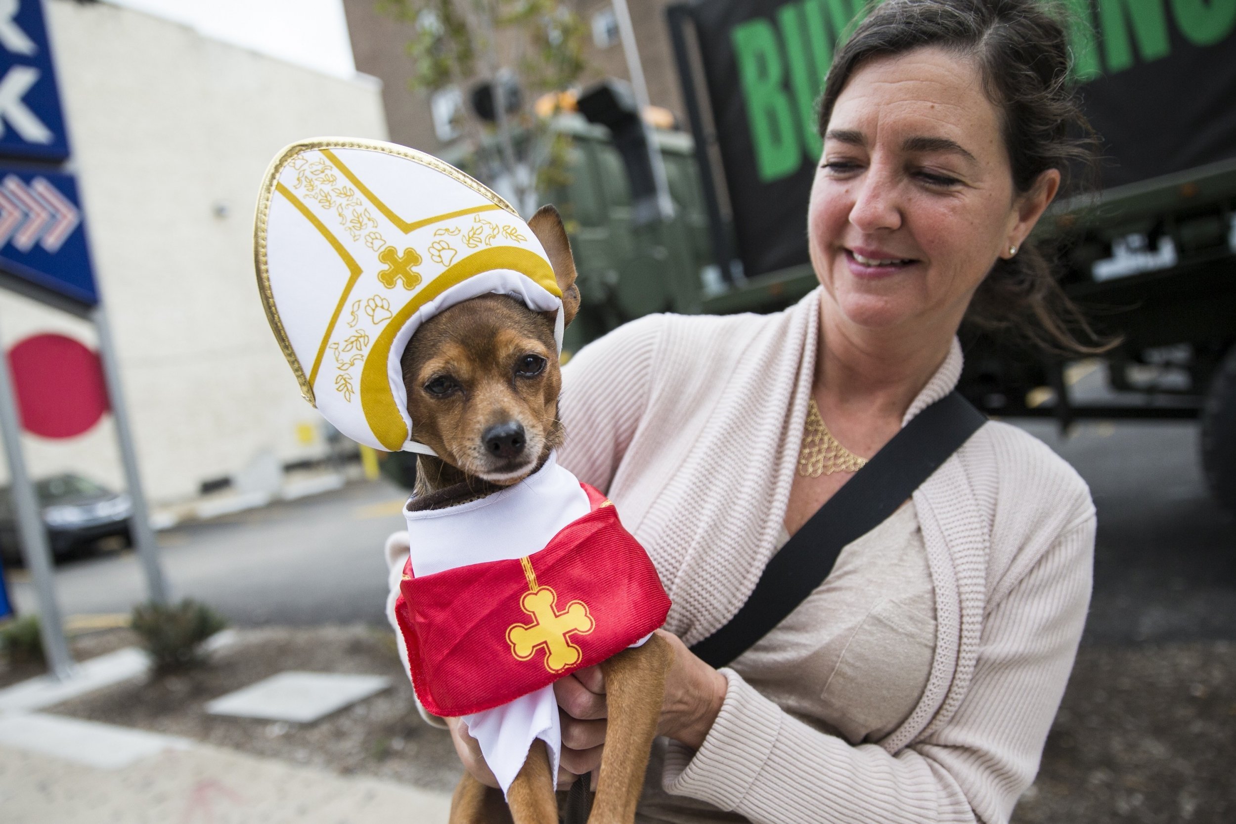 Why Are Animals Going to Church? Christians Celebrate Francis of Assisi,  the Pope's Favorite Saint