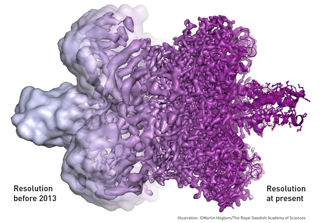 Nobel Prize In Chemistry 2017: U.S. And European Scientists Win For ...