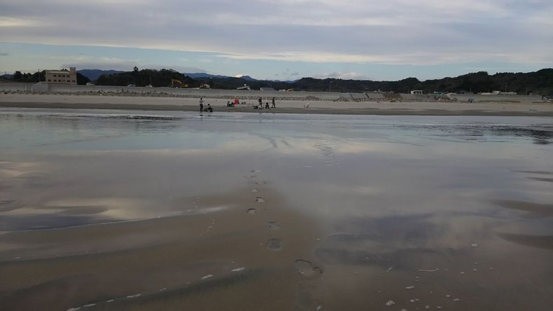 10_04_fukushima_beach_radiation