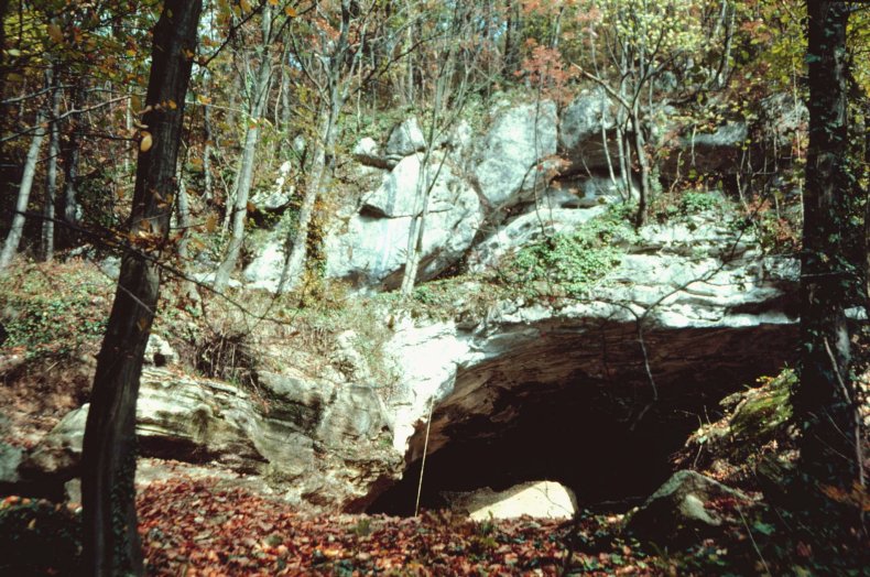 10_05_vindija_croatia_neanderthal