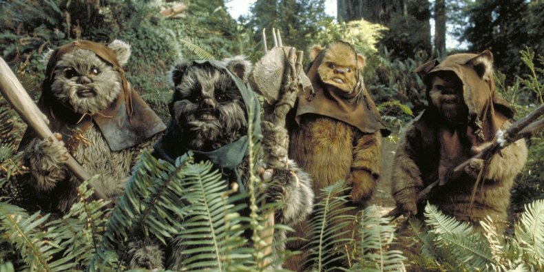 databank_ewok_01_169_747db03a