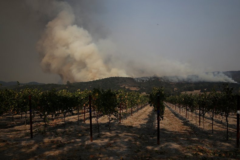 10_10_napa_fire_vineyard