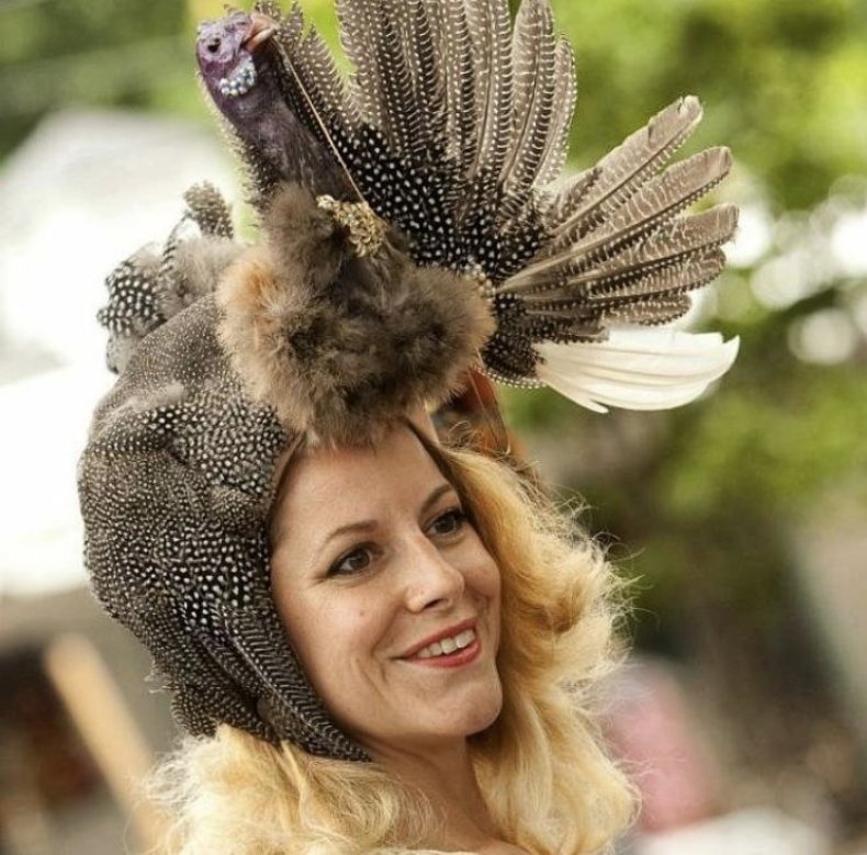 Bird_Hat_Alternative_Taxidermy