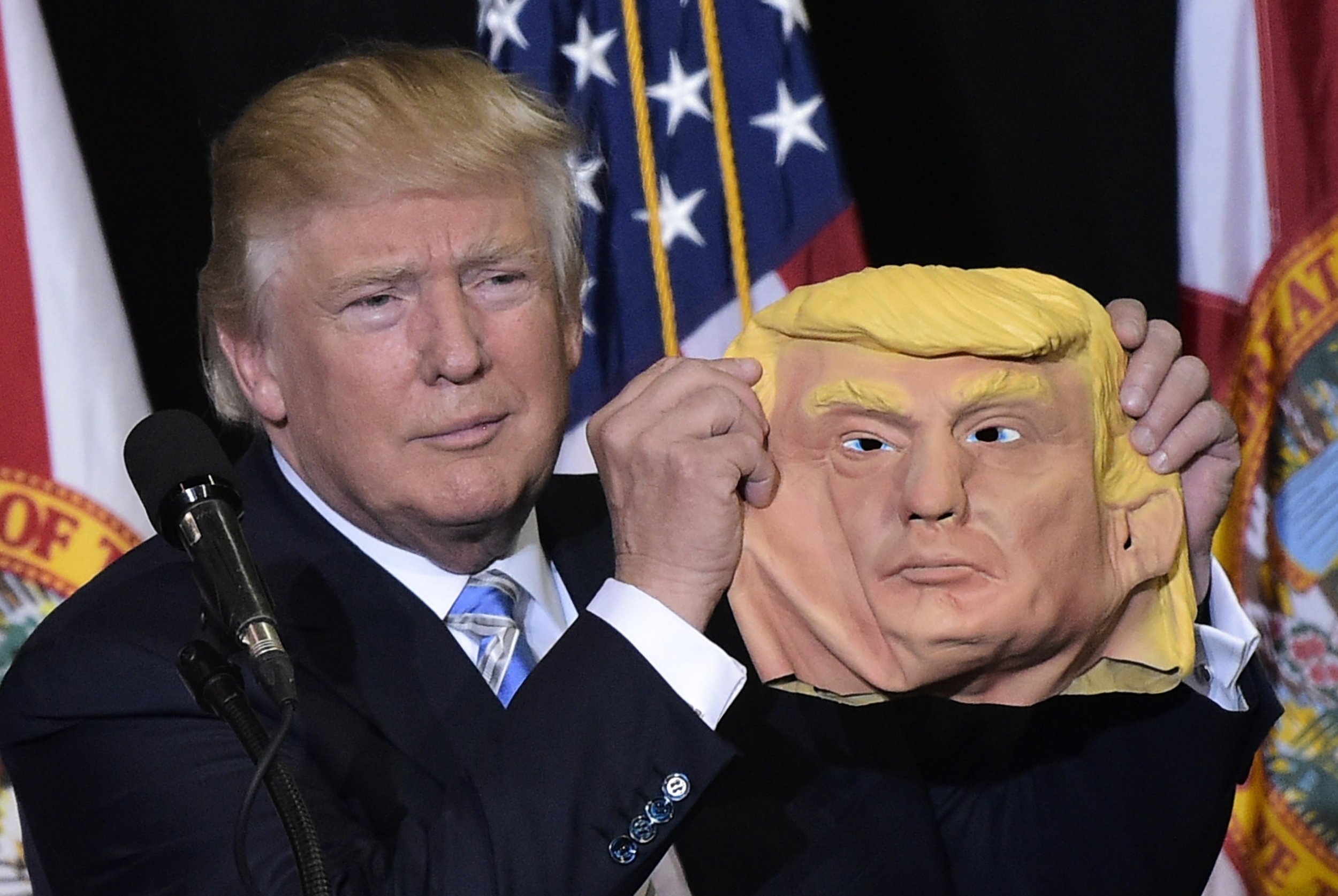 Donald trump store wig costume