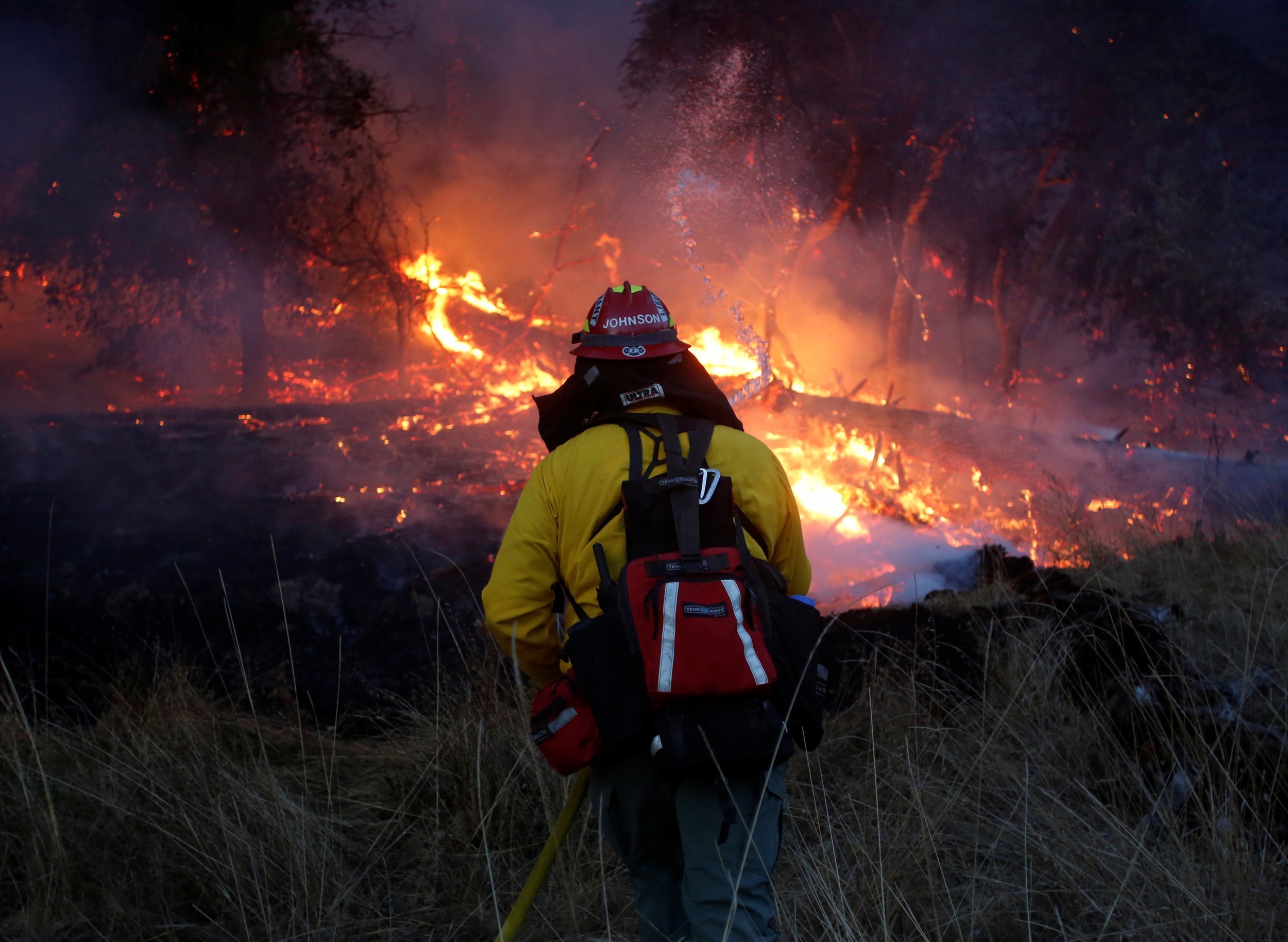 Cal Fire Death 2025 - Tonye Gwenneth