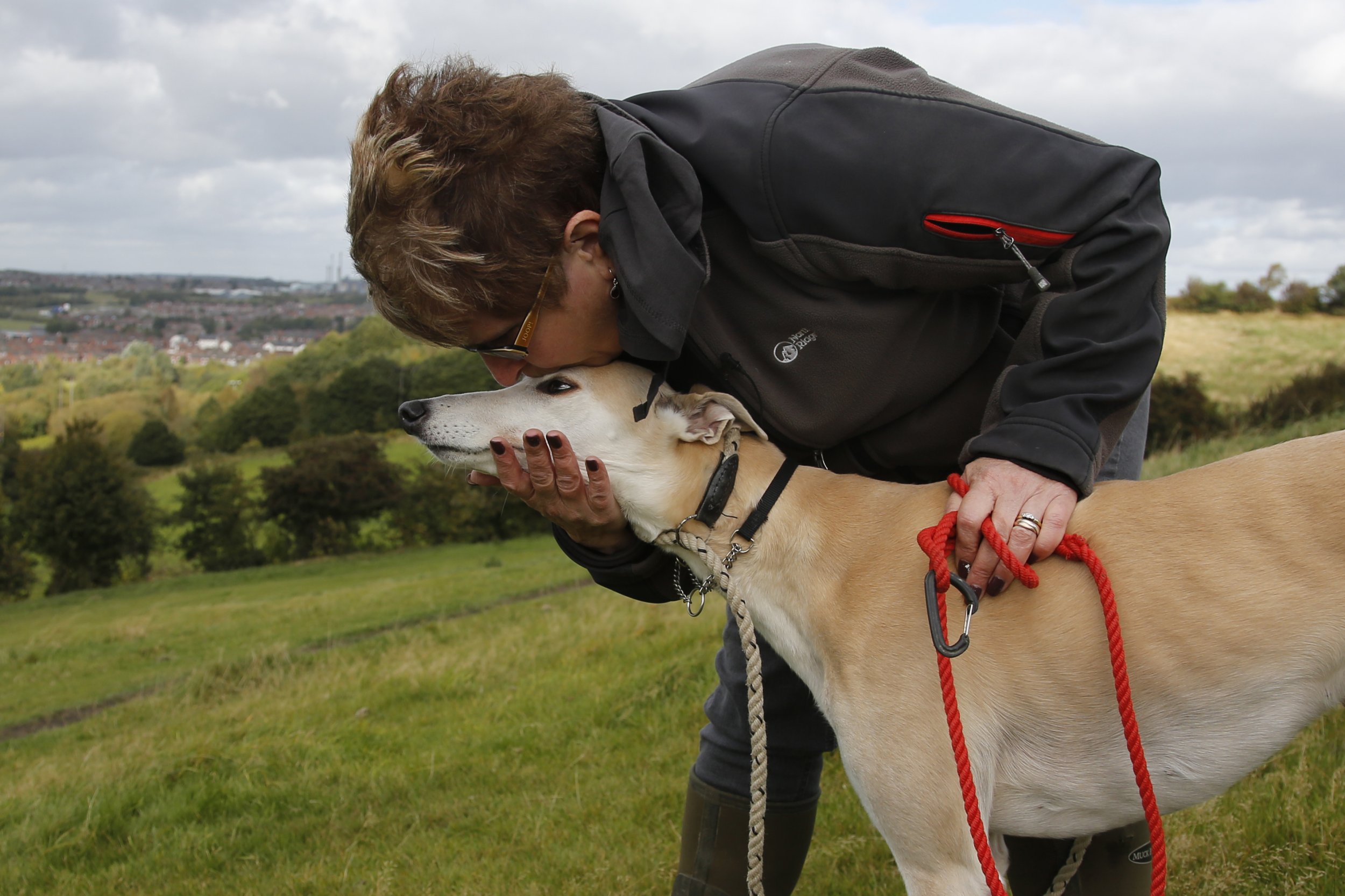 Alice the Racing Dog Kisses