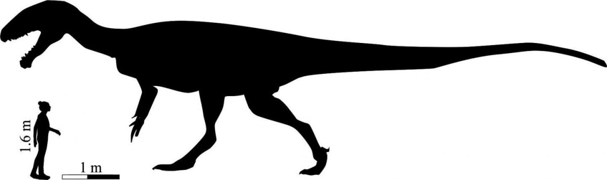 size_comparison_dinosaur