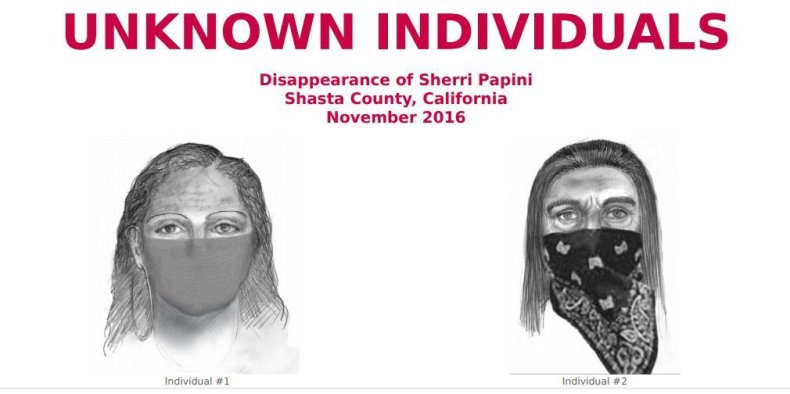 Sherri Papini sketches