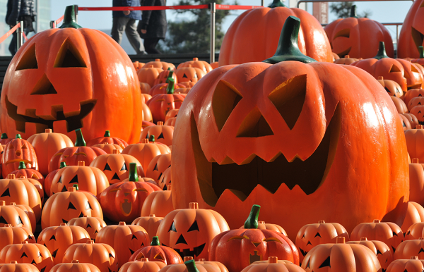 Everything spooky airing over Halloween weekend
