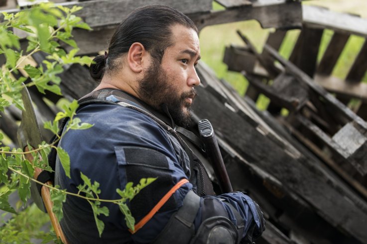 TWD_803_GP_0530_0020-RT TWD_803_GP_0530_0020-RT