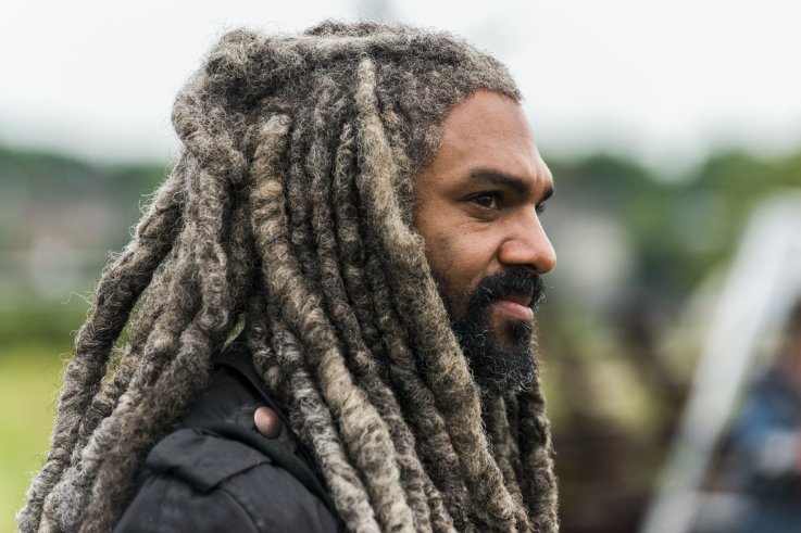 TWD_803_GP_0530_0190-RT TWD_803_GP_0530_0190-RT