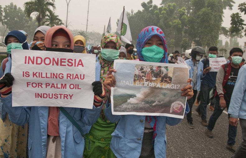 palm oil indonesia