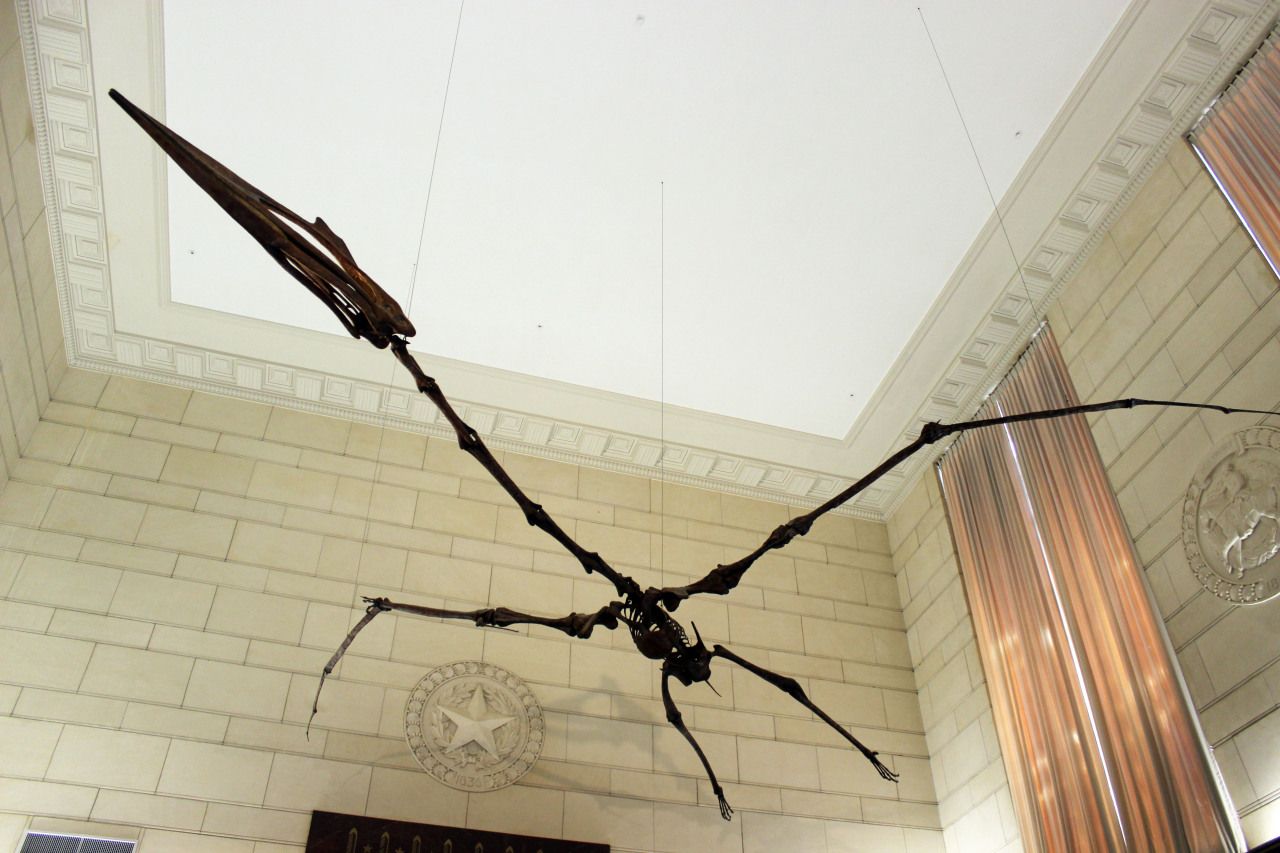 quetzalcoatlus