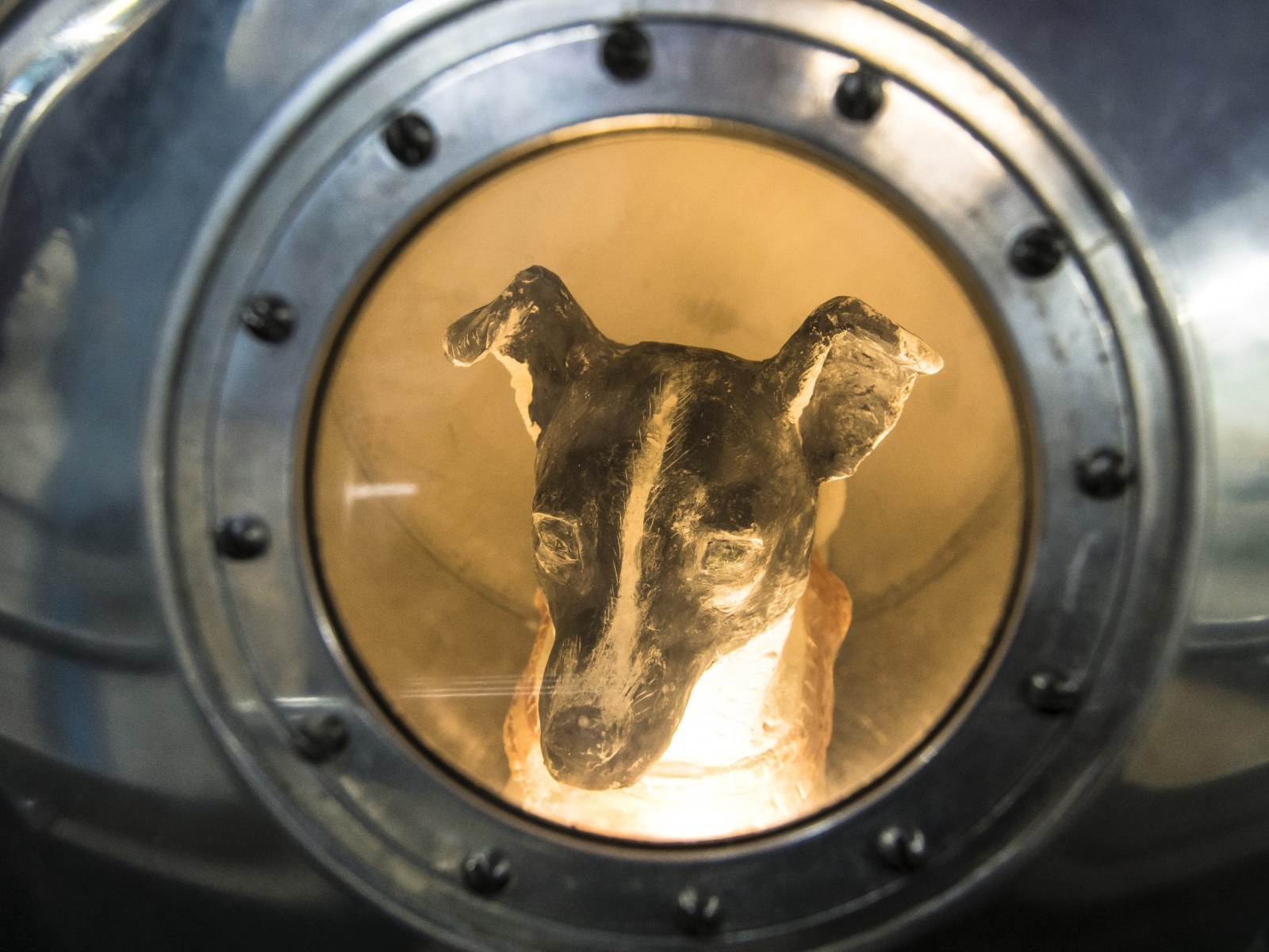 Animals in Space: How Russian Dog Laika Became the World's First Astronaut