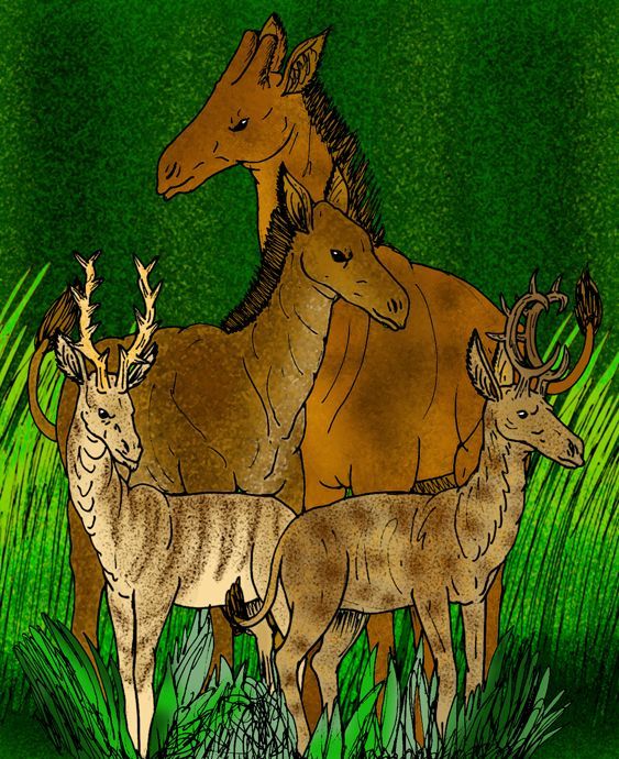 giraffids giraffids