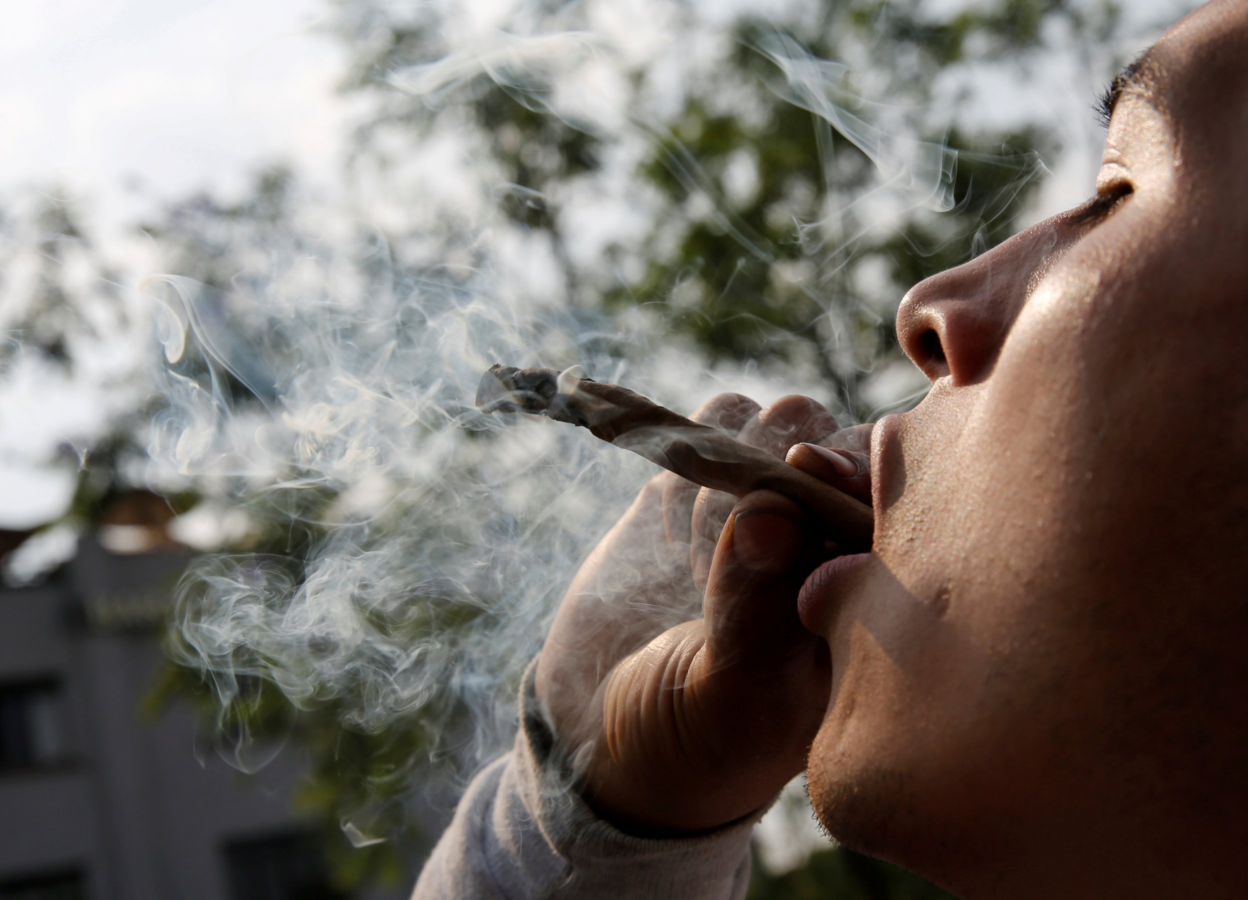 Курить марихуану в 11 лет есть ли побеги у конопли
