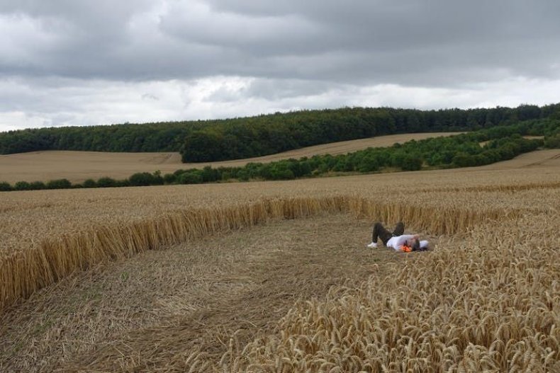 Crop Circles