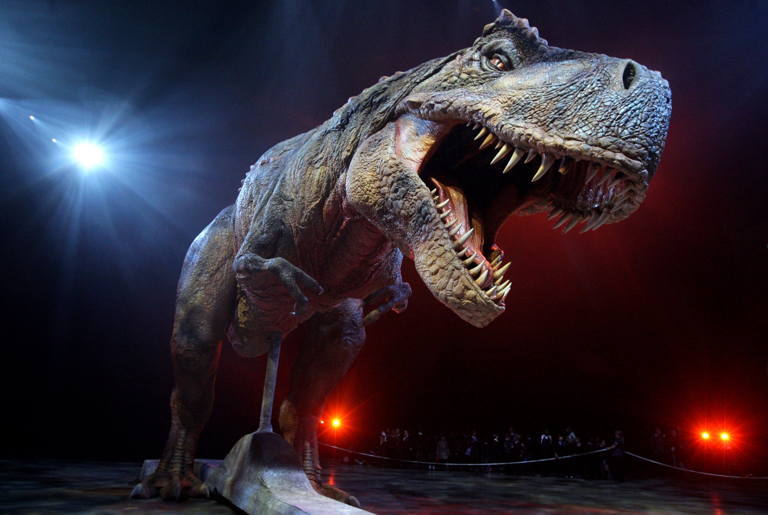 T. Rex's Tiny Arms May Have Been Vicious Weapons