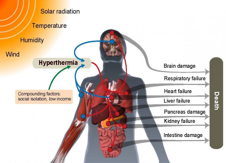 Deadly Heat Pathways Fig1