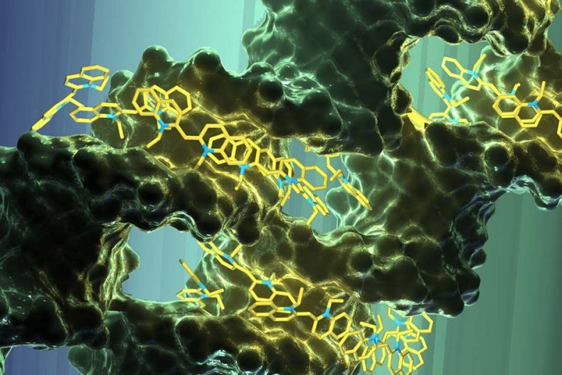 MIT-DNA-Scaffold