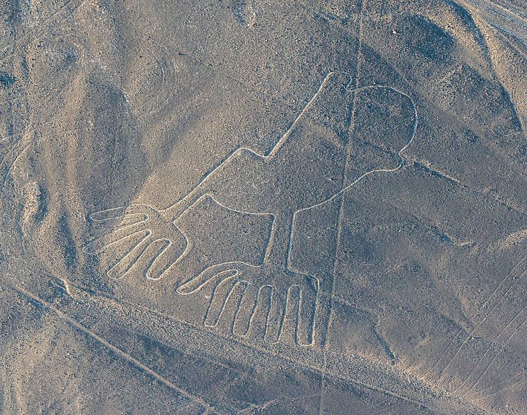 Nazca Lines: New Giant Geoglyph Of Orca Discovered In Peru Desert Sheds ...