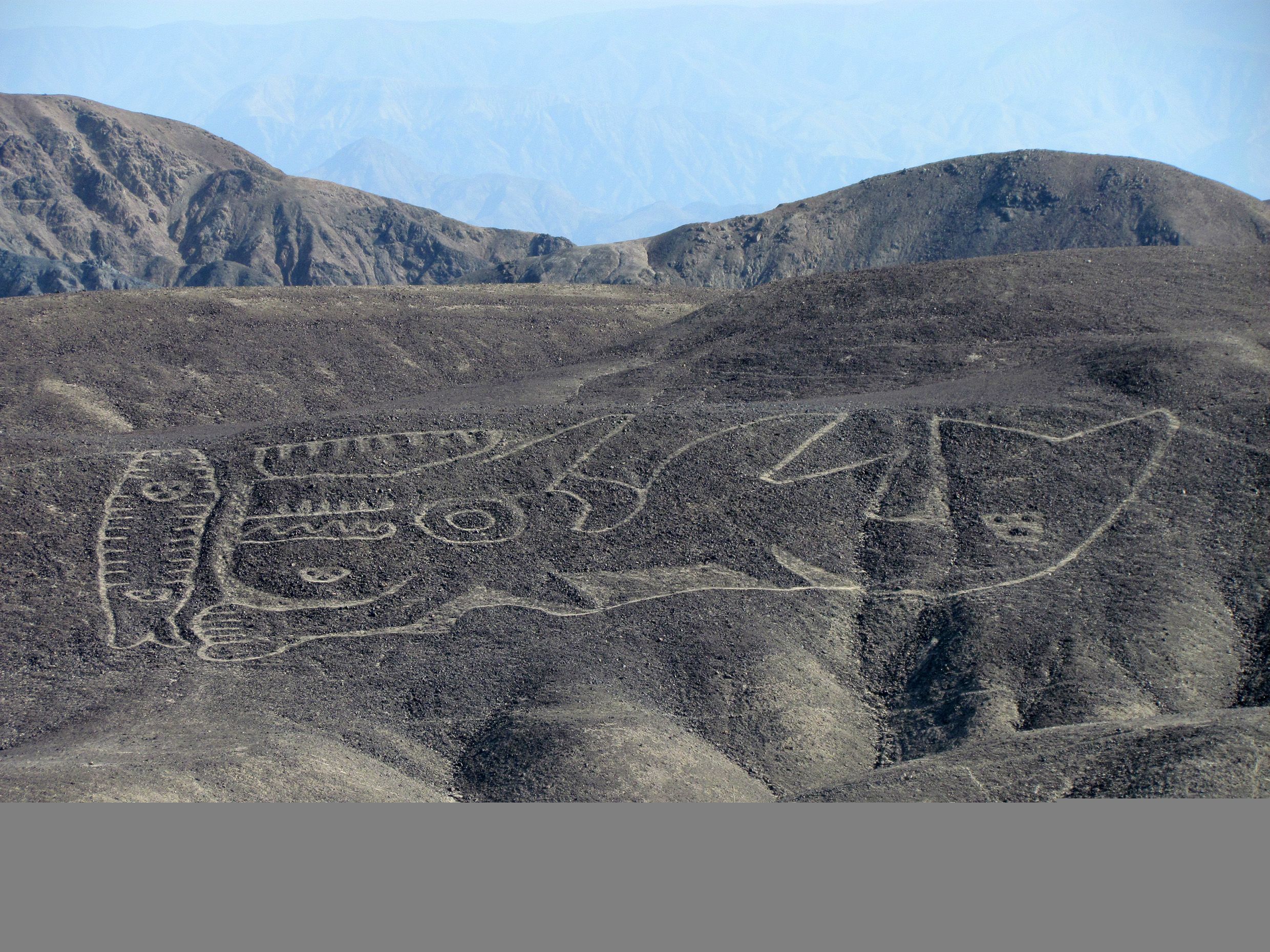 Nazca Lines: New Giant Geoglyph Of Orca Discovered In Peru Desert Sheds ...