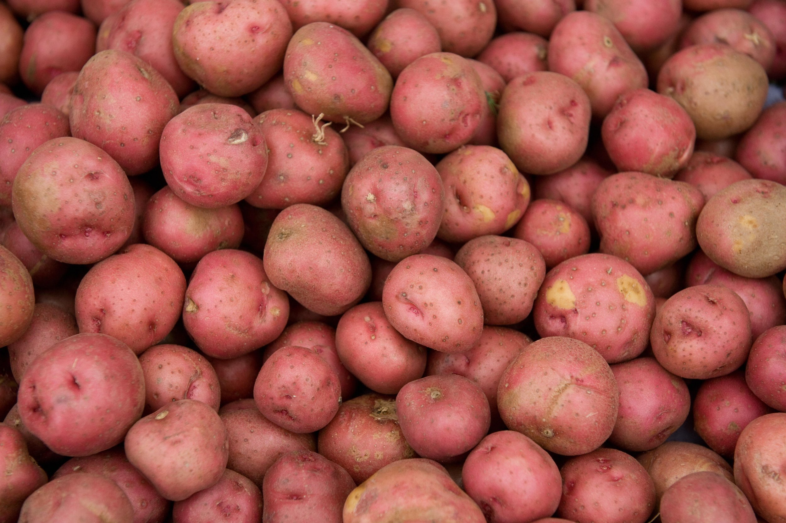 Are Red Potatoes Healthy?