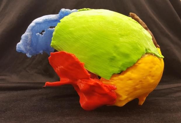 Gorm the Old reconstructed skull 3D print