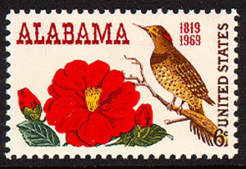 USA-Camellia-and-Yellow-Shafted-Flicker
