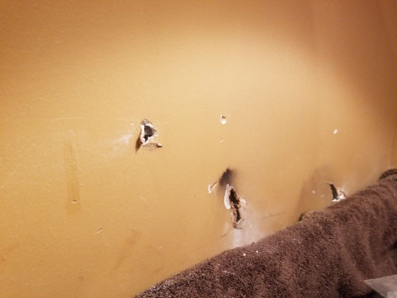 John McAfee living room shooting