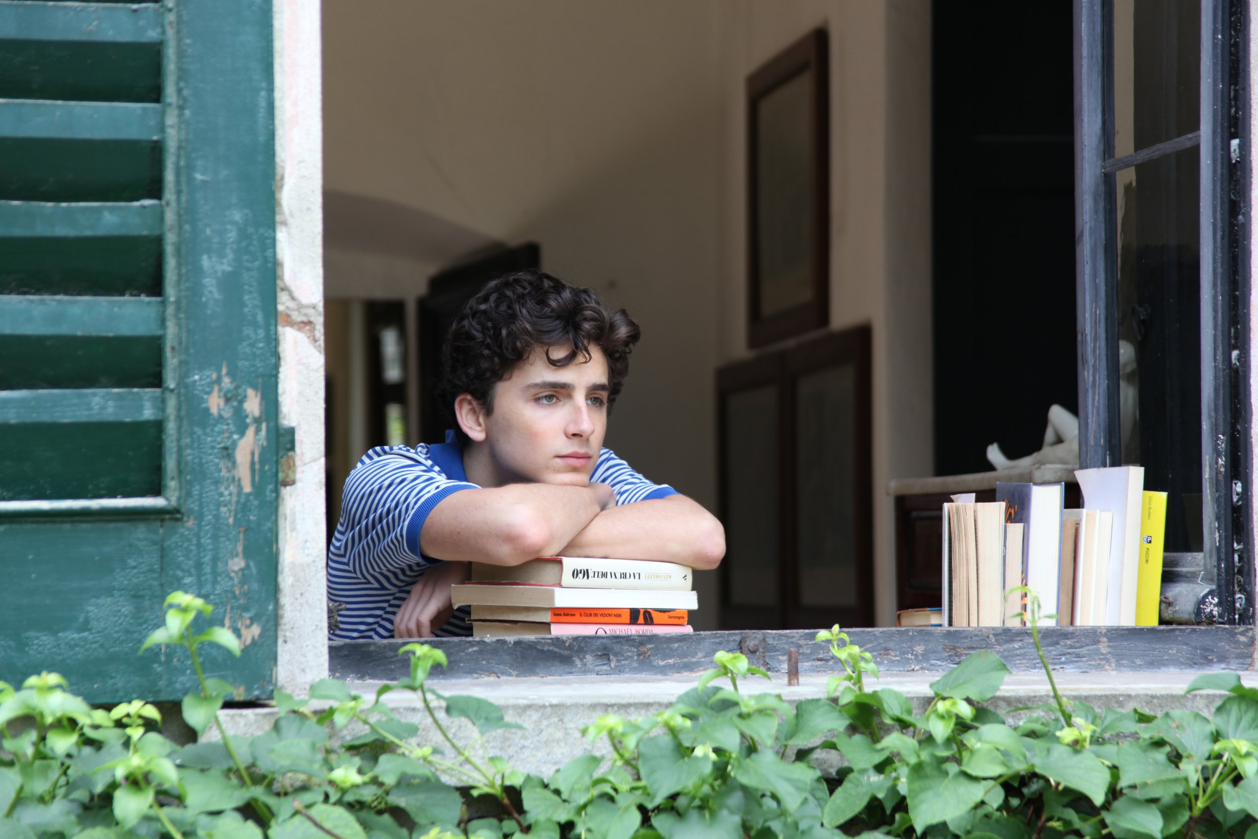 Timothee Chalamet On Call Me By Your Name Vulnerability