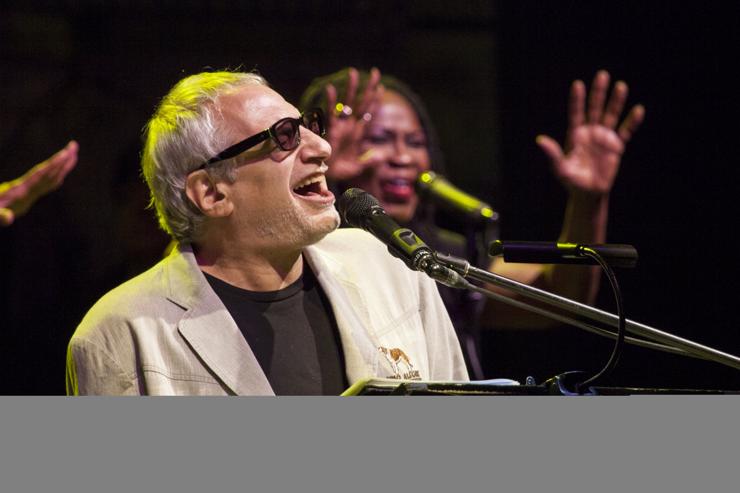 Steely Dan Donald Fagen