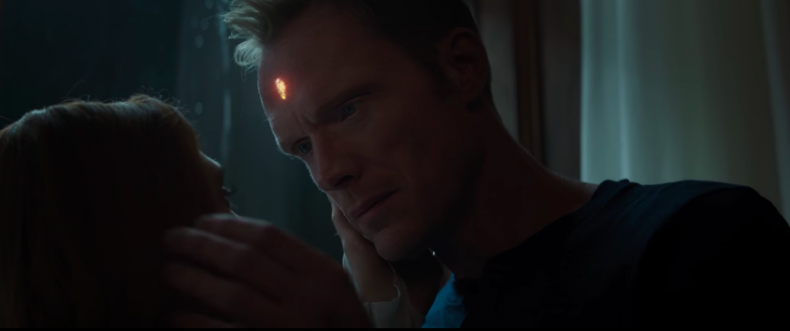 vision paul bettany