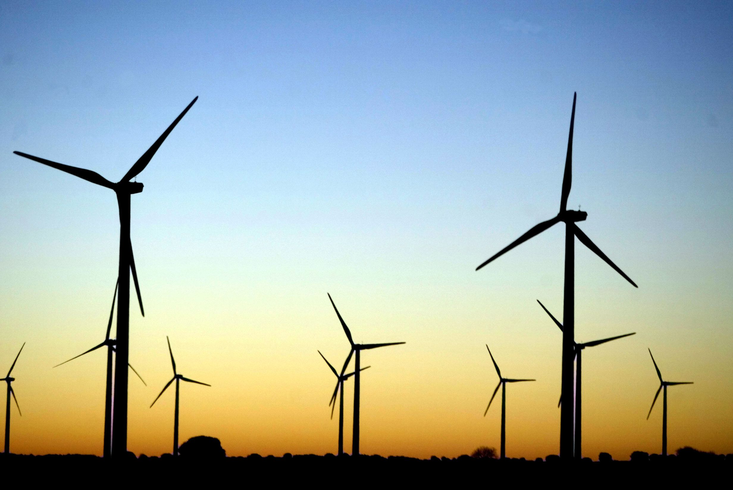 Google Bought Enough Wind Power to Match 100 Percent of Its Energy Use