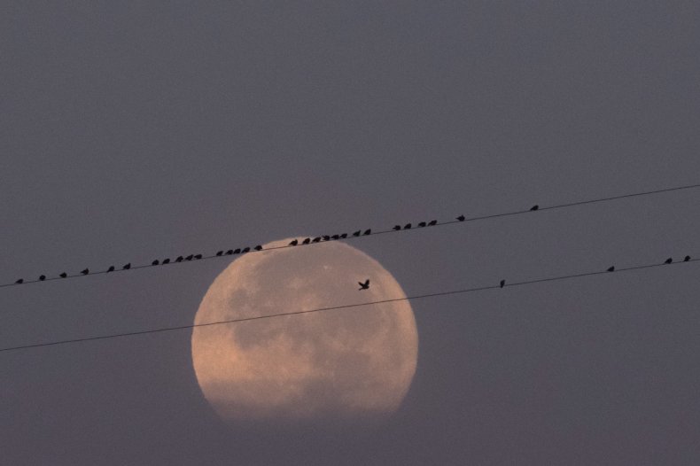 12_4_Supermoon Yangon