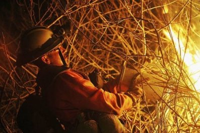 California Wildfire Hero Risks His Life To Save Wild Rabbit Watch The California Wildfire Hero Risks His Life To Save Wild Rabbit Watch The