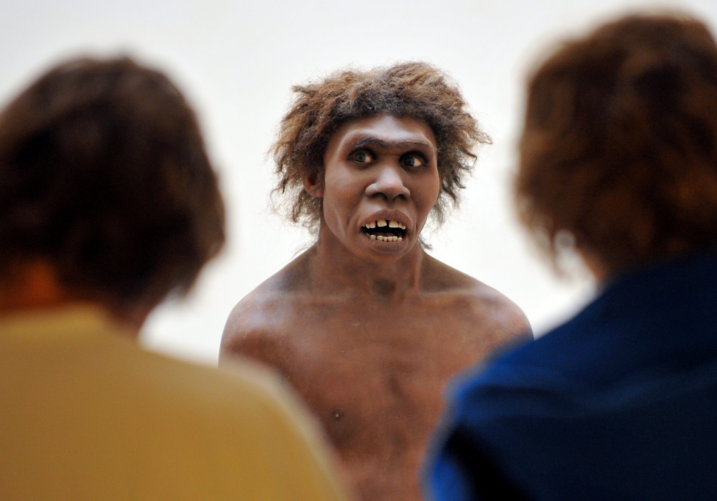 12_7_Neanderthal Man