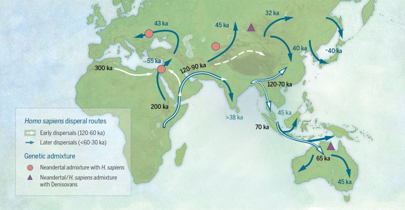 12_7_Human Migration Map