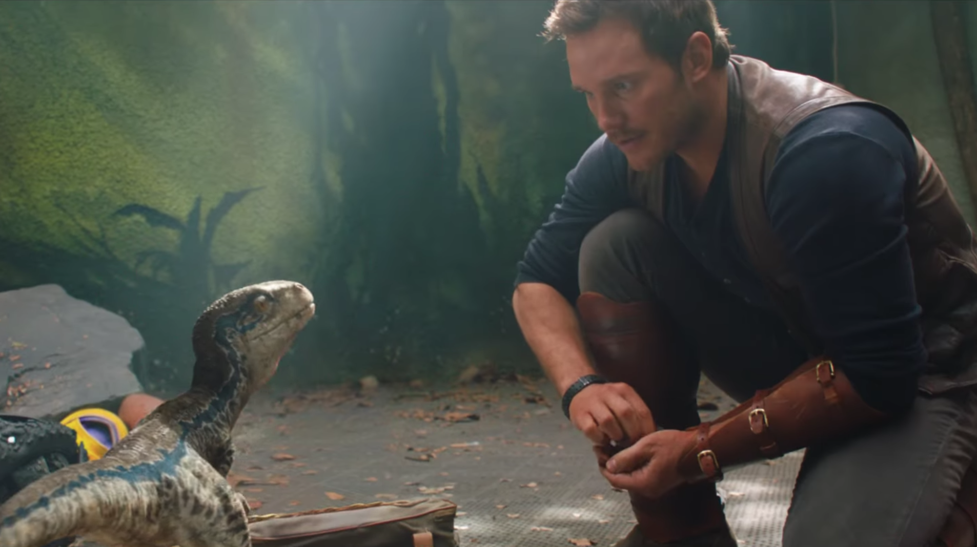 Jurassic World: Fallen Kingdom in 4K Ultra HD (Chris Pratt), Reunited With  Blue