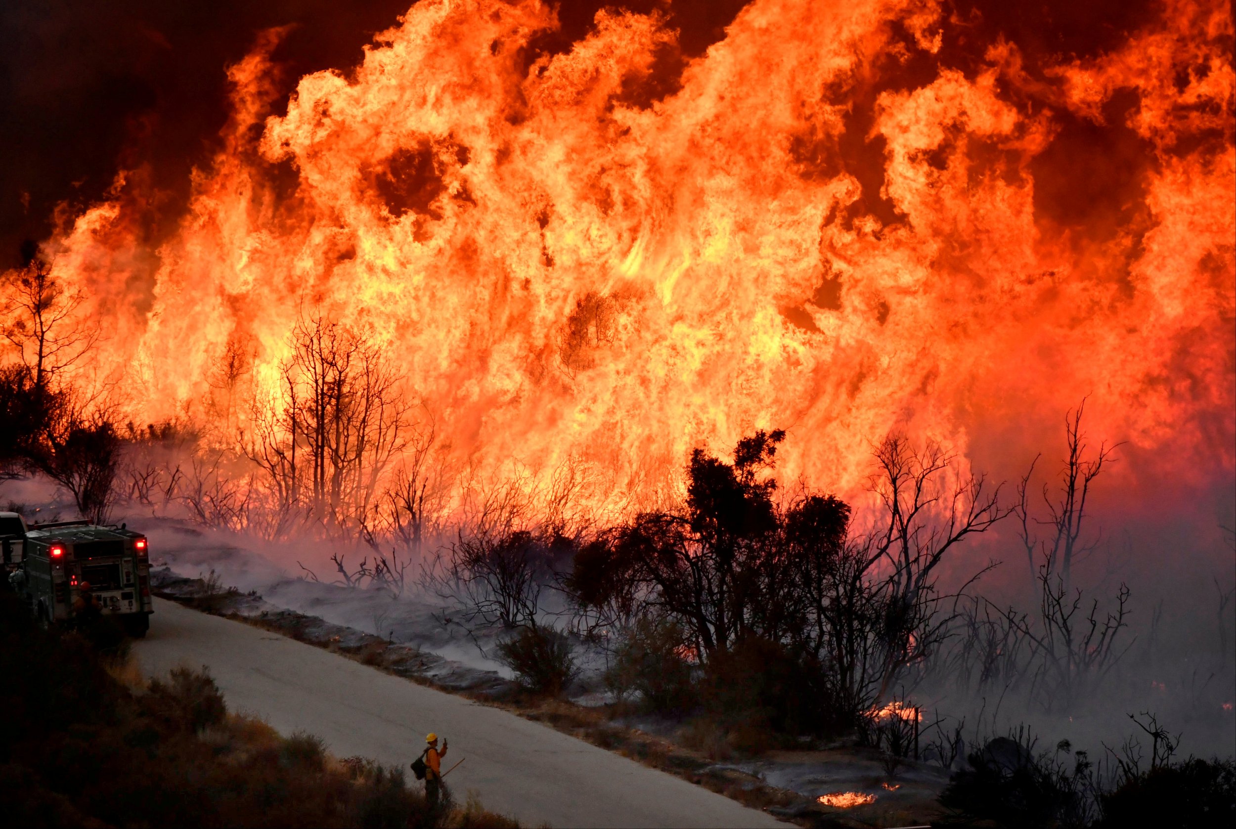 Лесные пожары Калифорния