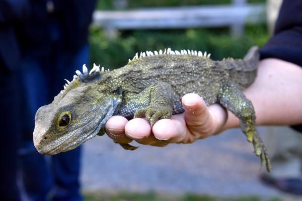 12 Animals That Have Surprisingly Long Life Spans 12 Animals That Have Surprisingly Long Life Spans