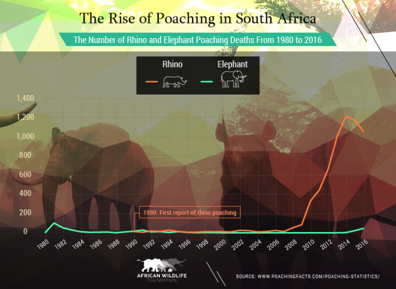 rhino_poaching_graph