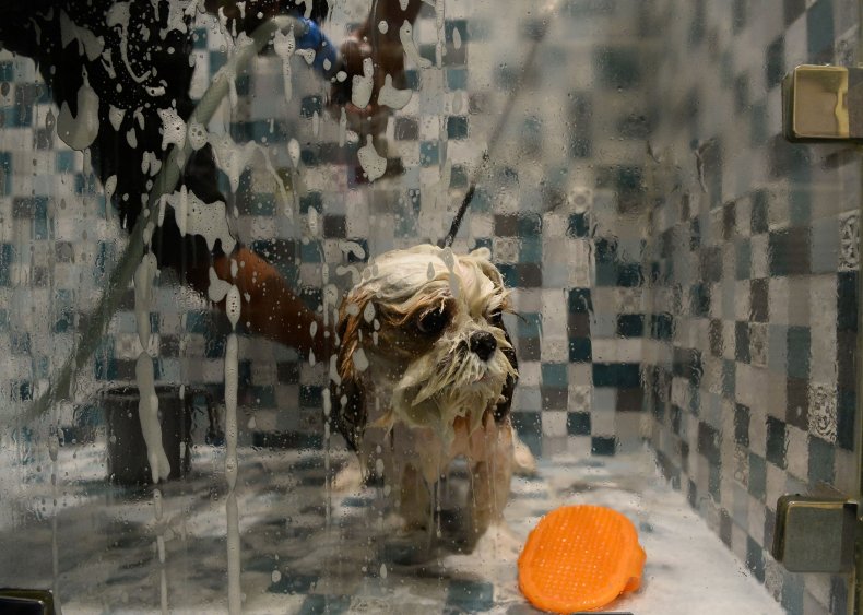GettyImages-885718698
